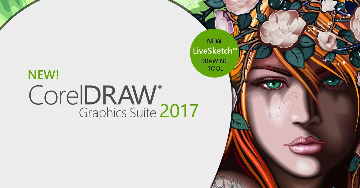 Coreldraw 1progs. Coreldraw. coreldraw graphics suite 2025. coreldraw иллюстрации. coreldraw картинки.