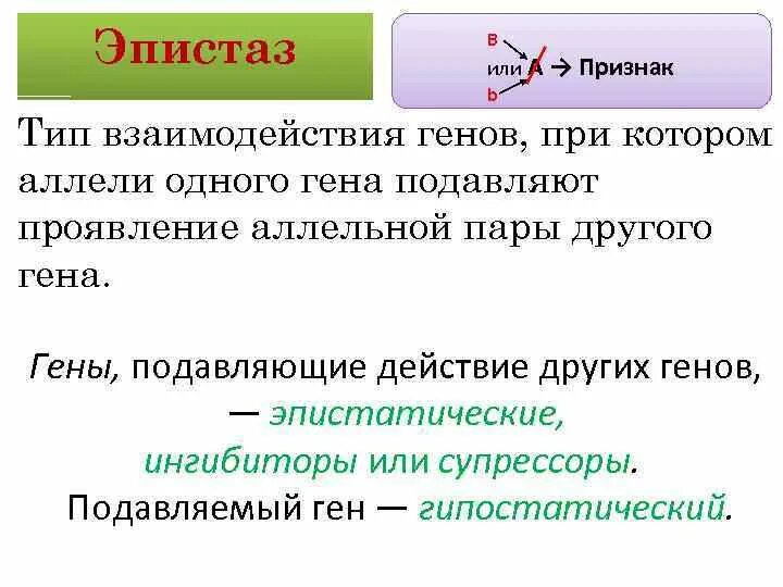 Эпистаз Тип взаимодействия. Эпистаз Тип взаимодействия генов. Эпистатический и гипостатический ген. Эпистатическое действие генов. Скажи 1 признаки