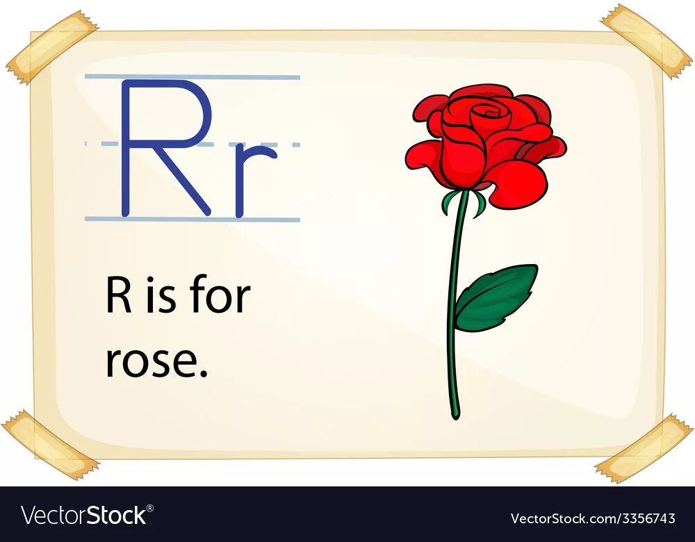 английское слово p r r. английские слова на букву r. английский алфавит для малышей. английские буквы для детей. задания для дошкольников буква р английская.