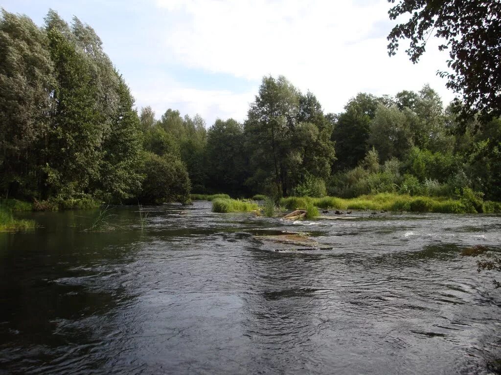 река пенинга карелия перекаты. горные реки сахалина. река вуокса пороги лосево. пороги в лосево на вуоксе. дикая речка.
