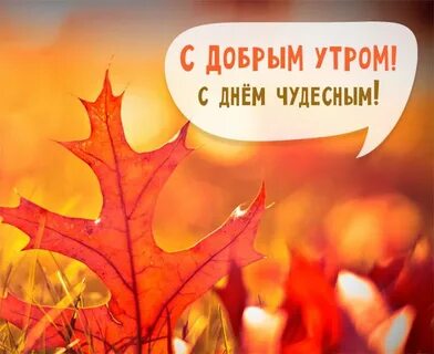 Осенний пейзаж с надписью доброе утро