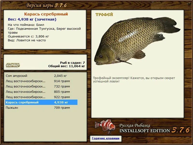 реальная рыбалка амурский лещ