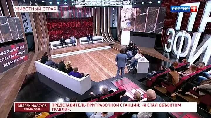 Малахов 23.02.2022 прямой эфир. Передача Малахова от 17 апреля. Прямой эфир Россия 1 студий. Передача малахов сегодняшний выпуск 2024