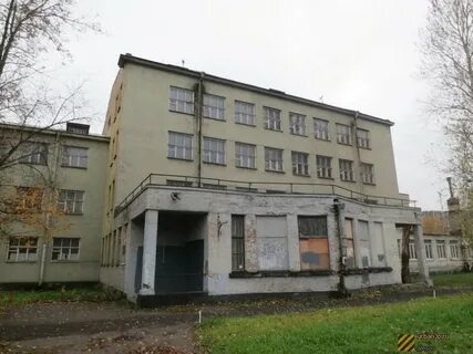 Специальные пту