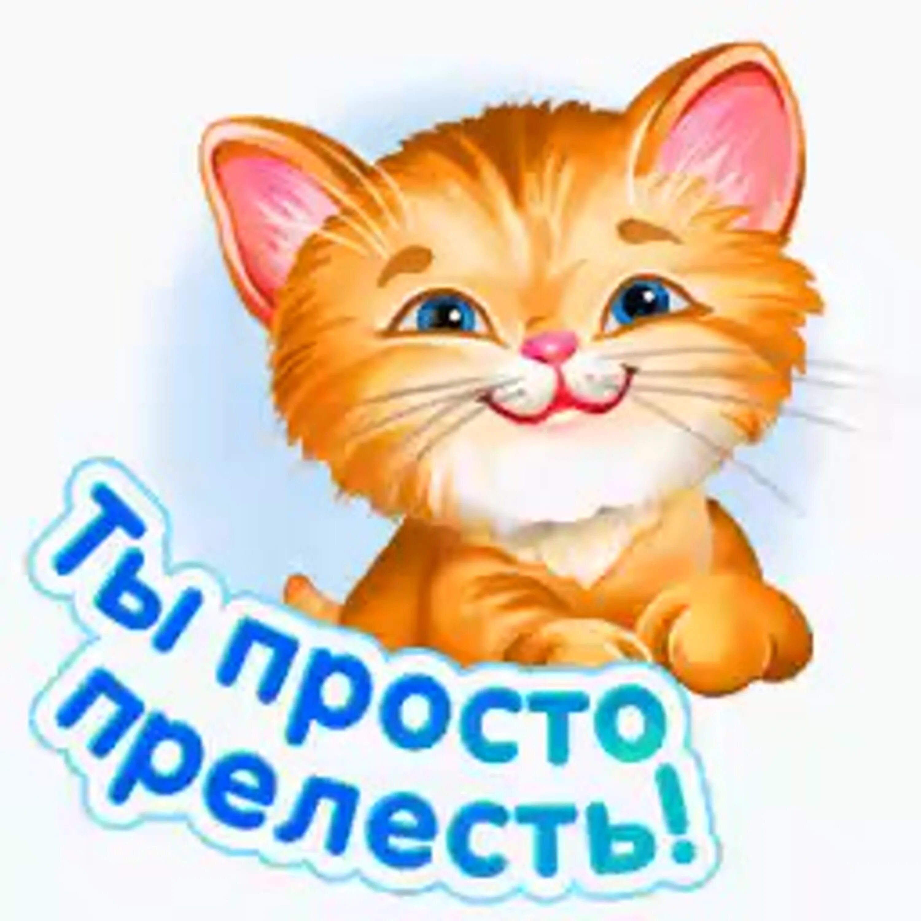 Прелесть прелестная. Стикер прелесть. ты прелесть надпись. открытка ты прелесть мужчине. стикер какая прелесть.