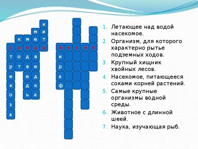 Кроссворд по теме среда обитания. Кроссворд на тему среда обитания. Кроссворд по биологии. Кроссворд по средам обитания. Кроссворд живые организмы 5 класс