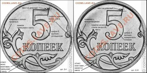 Разновидности сташкин