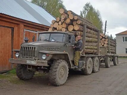 Водитель лесовоза вакансии