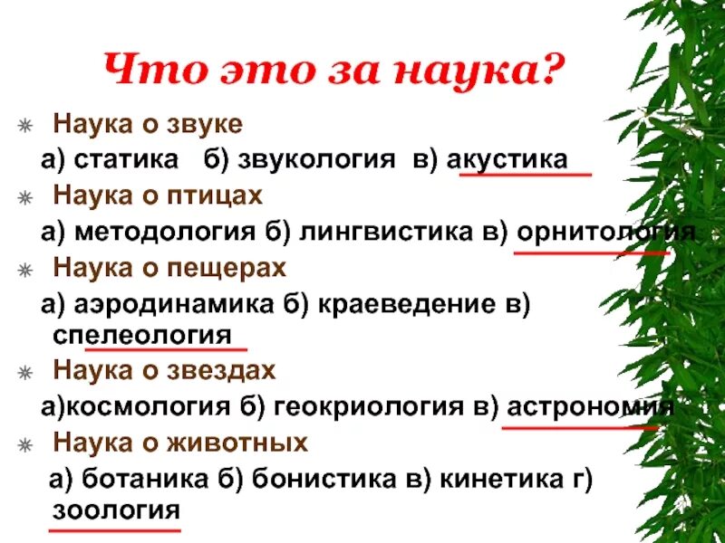 Какие области науки бывают. Науки разные важны науки разные нужны. Наука о звуке. Как называется наука о звуках. За науку.