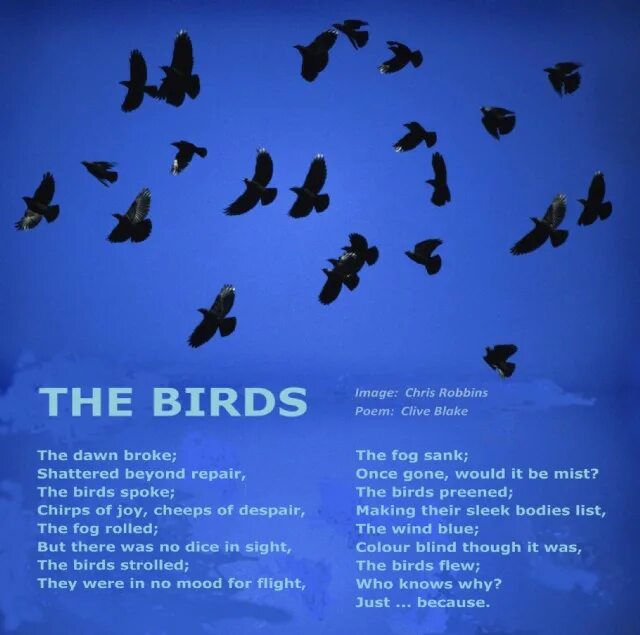 Bird spoke. Poems about Birds. Birds poem for Kids. Poems about Birds for Kids. The Stoic Bird poem.