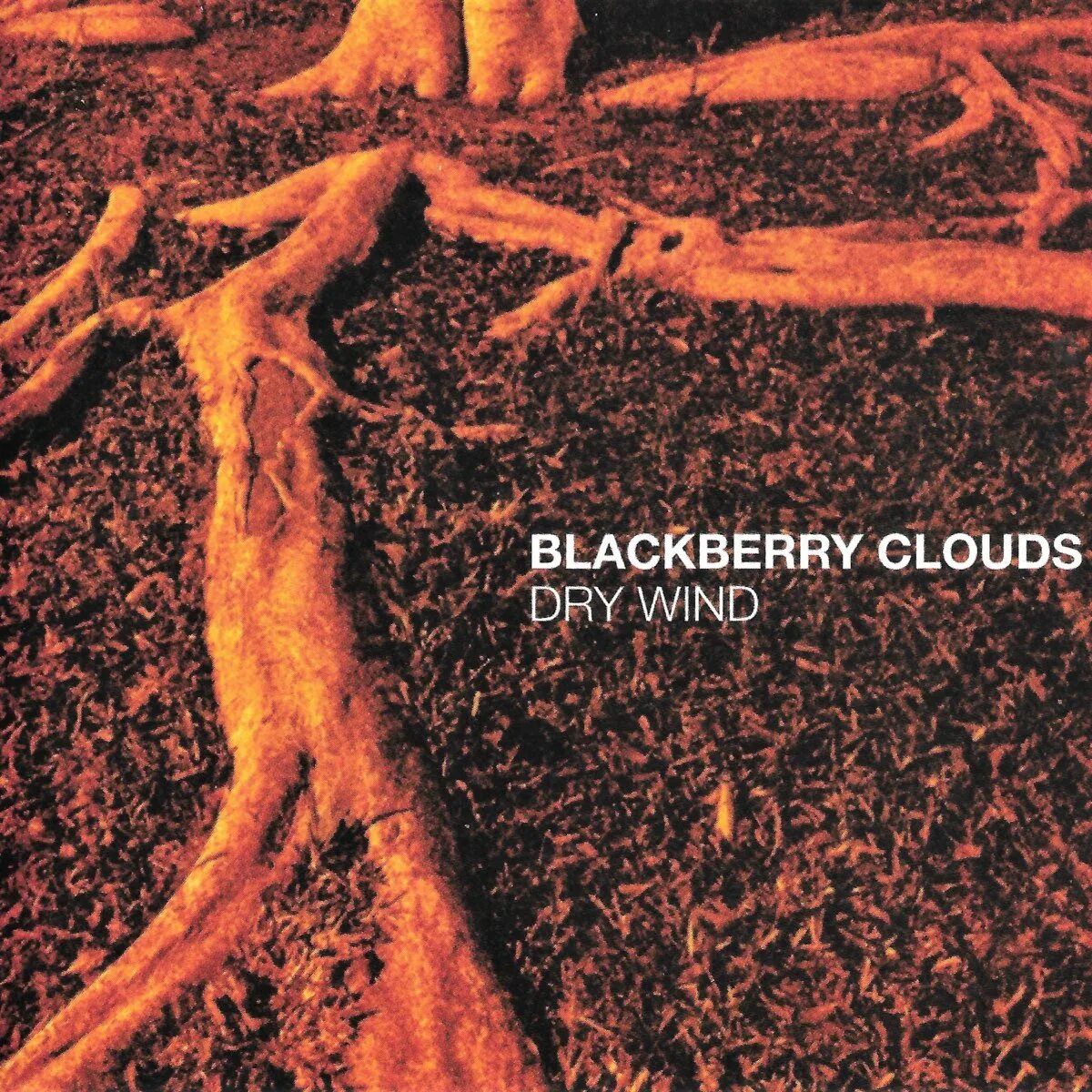 Wind dry. Wind dry. Commonwealth ветер. Wind dry. Wind dry.