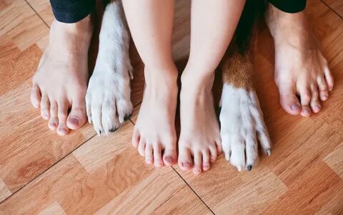 Foot dogs