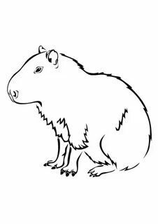 Capybara Coloring Pages Free Printables