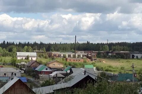 Билимбаевское лесничество