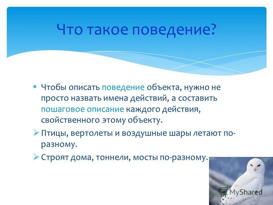 поведение объекта это в информатике. действия объекта. описание каждого действия свойственного объекта. описание каждого действия свойственного объекта. среда существования объекта.