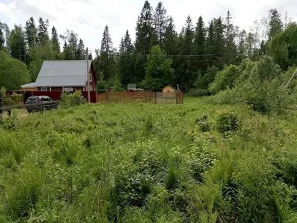 Участок в заре
