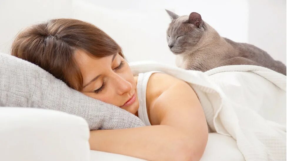 сниться находиться в доме. сниться находиться в доме. если приснился парень. про сон. спать днем.