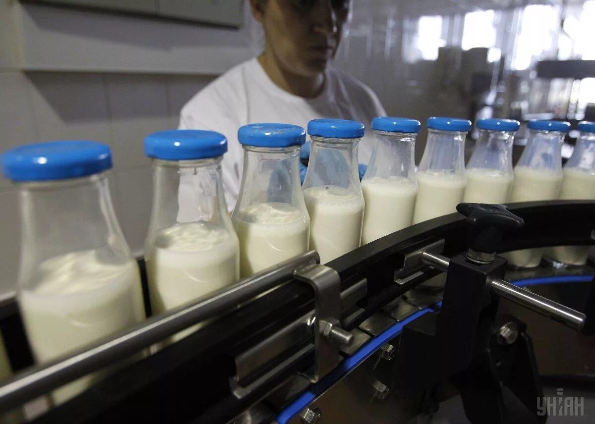 Холмогорское молоко. Молочные продукты новости. Маркировка молочной продукции. Ооо деревенское молочко северск. Агрохолдинг комос групп.