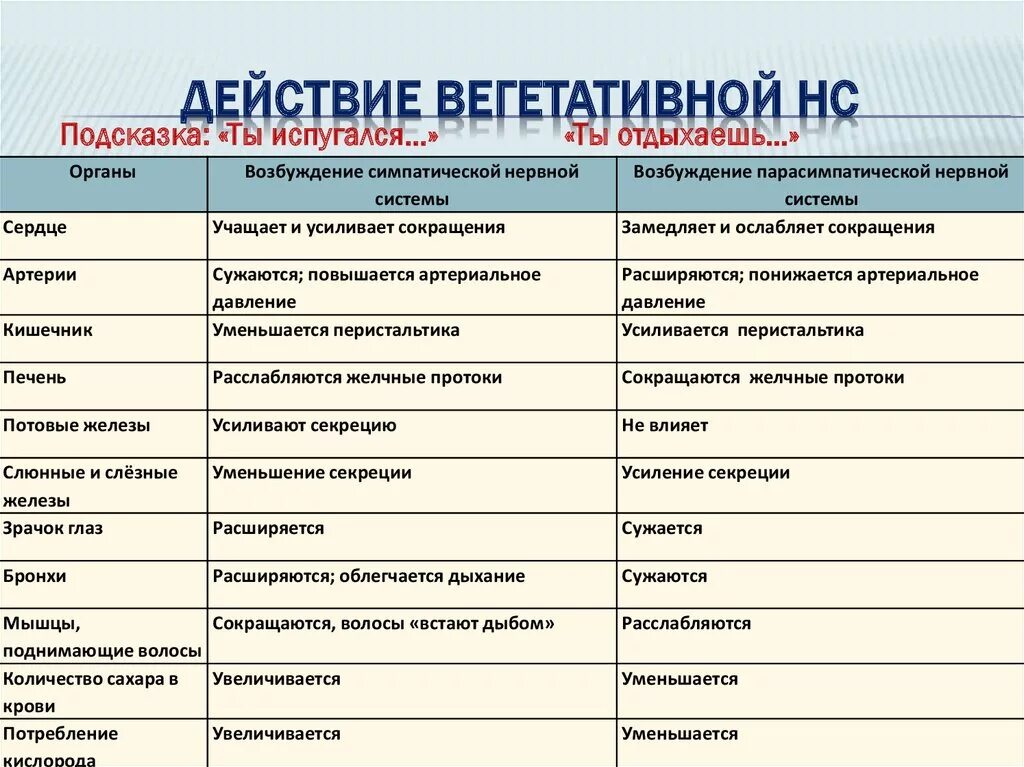 5 форм вегетативного. Эффекты возбуждения симпатических и парасимпатических нервов:. Симпатическая система влияние. Вегетативная нервная система таблица. Влияние симпатических и парасимпатических нервов на функции органов.