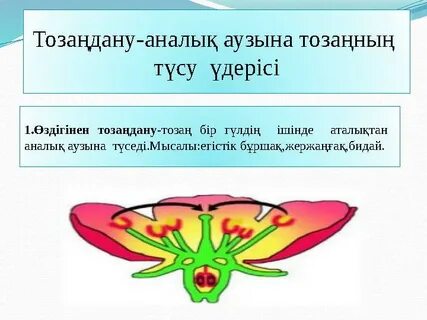 Порно-актерлер соқтығысты