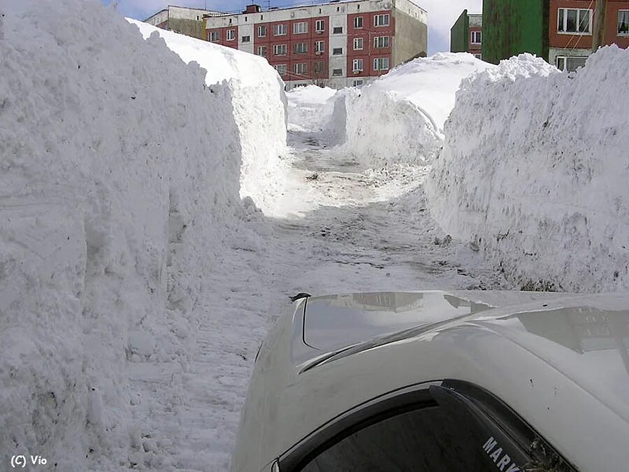 Петропавловск-Камчатский снегопад. Камчатка много снега. Камчатские сугробы. Снег на Камчатке.