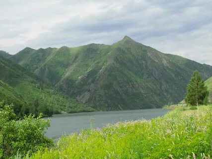 Восточно казахская область