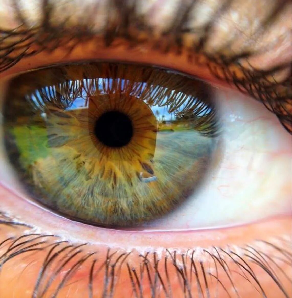 Зелено голубо желтые глаза. Центральная гетерохромия хамелеон. Хейзел цвет глаз. Зелено карие глаза. Голубо зелено карие глаза.