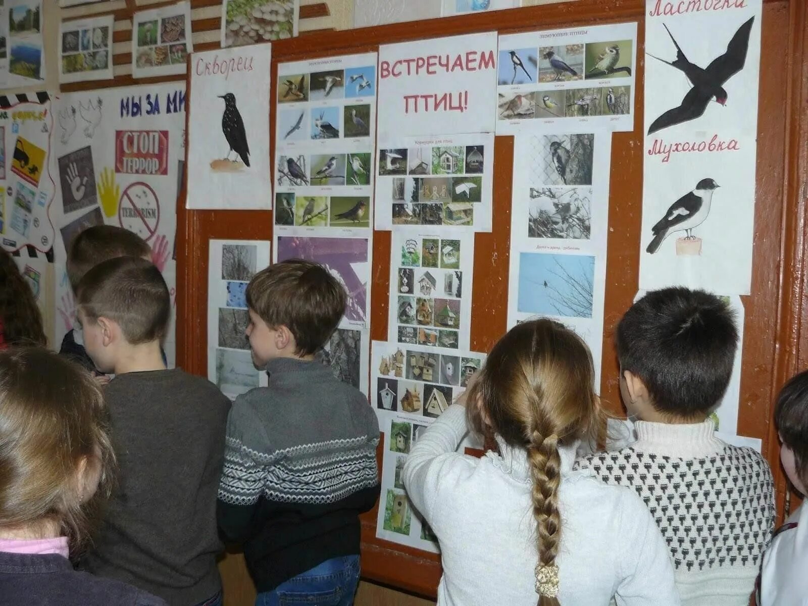День птиц. День птиц мероприятия. Международный день птиц мероприятия. Выставка посвященная Дню птиц.