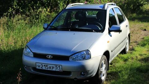 Цвет калины