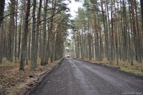 Коса дорога