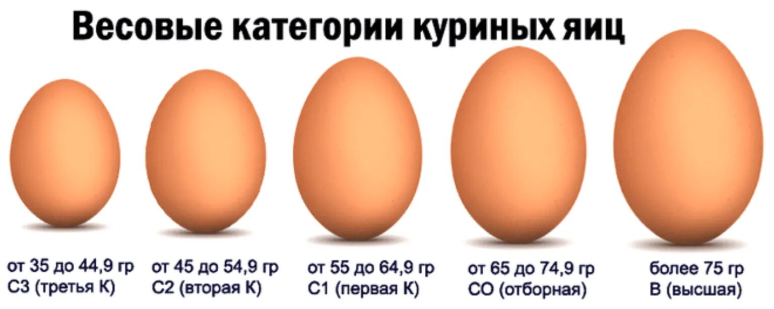 Категории яиц с1 с2. Размер яйца 1 категории. Яйца с0 с1 с2. Категории яиц куриных с0.