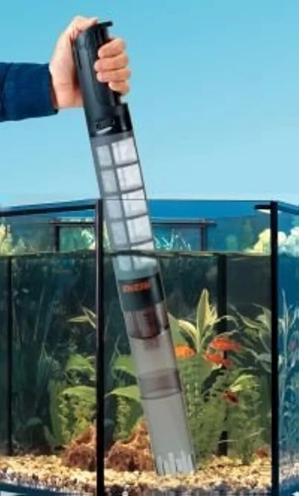 Lm sauger ax