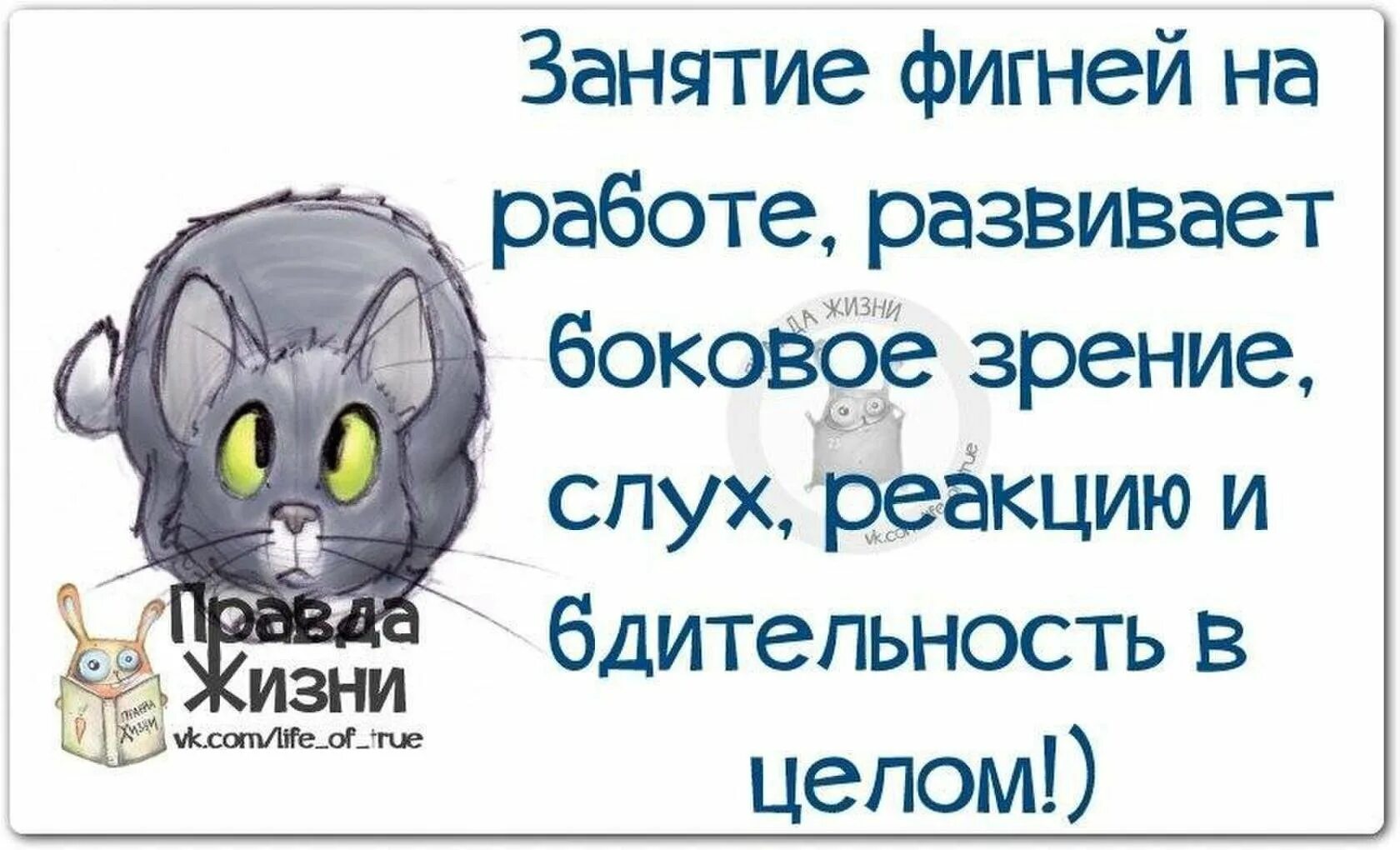 Высказывание правда жизни. Смешные афоризмы. Афоризмы про работу. Прикольные высказывания. Прикольные фразы про работу.