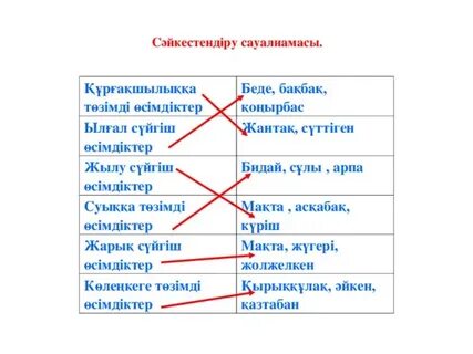 Американдық секс видео MP4
