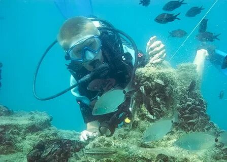 Подводная в черном море