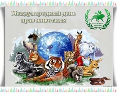 Международная защита животных