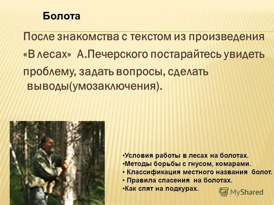 спиленное дерево. лесник в лесу. рубка деревьев. работники в лесу. условия работы в лесу.