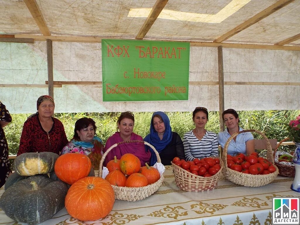 На неделю в дарваге