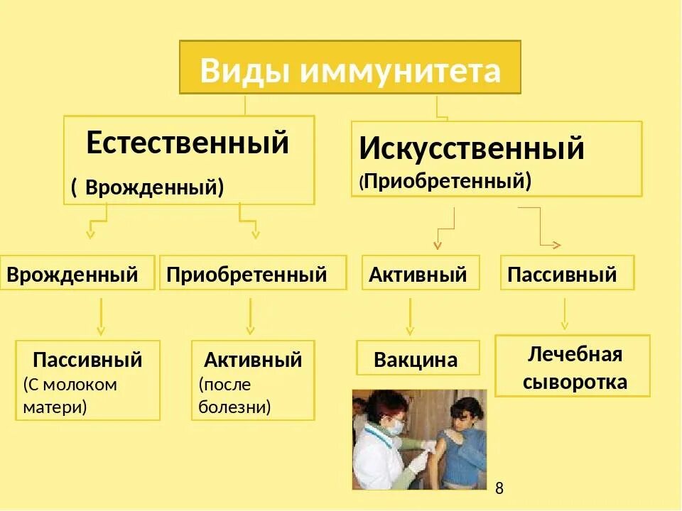 Активный приобретенный иммунитет примеры. Естественный активный иммунитет пример. Иммунитет врожденный и приобретенный схема. Приобретенный искусственный пассивный иммунитет.