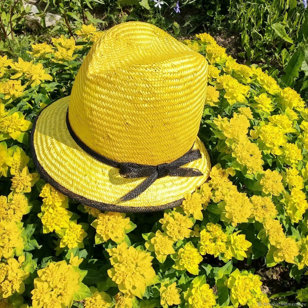 Unisex Ladies Mens PANAMA Hat Beach Jazz , Yellow - Unisex Hat C4W4 eBay