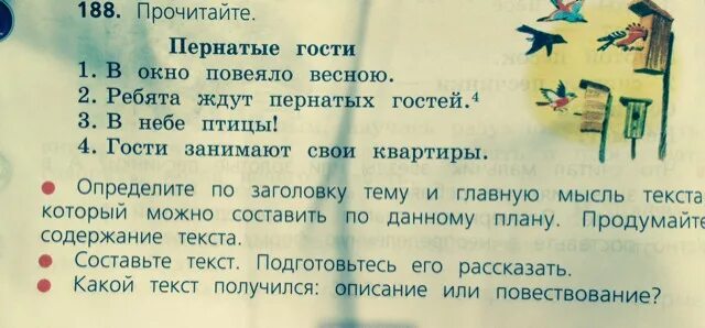 Сочинение пернатые гости. Пернатые гости сочинение. Сочинение про пернатых гостей 3 класс. Рассказ про пернатых гостей 3 класс. Сочинение на тему пернатые гости 3 класс.