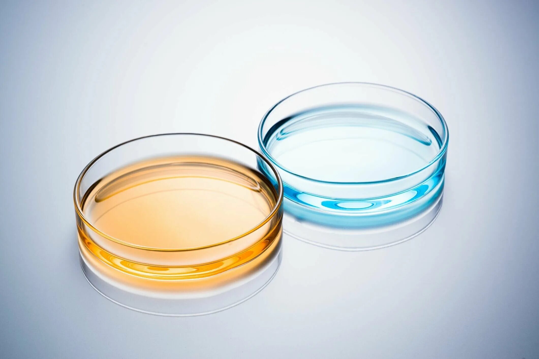 химическая посуда чашка петри. чашка петри чбн-2-100. петри вода. чашка петри пластиковая 90 мм. клетки в чашке петри.