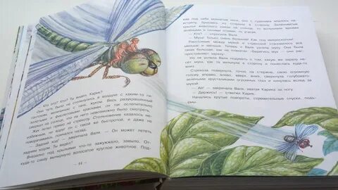 Краткое содержание необыкновенные приключения