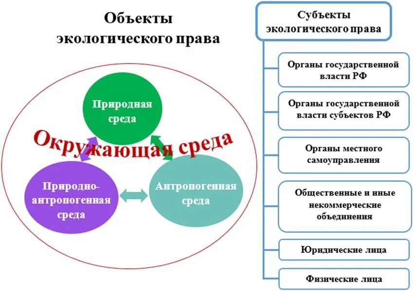 Экологические обязанности рф. Экологические обязанности. Экологические обязанности граждан. Экологические обязанности граждан РФ.