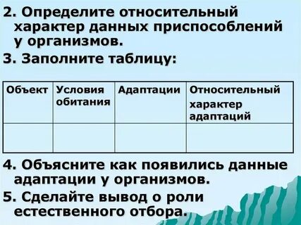 Дятел приспособленность к среде обитания таблица