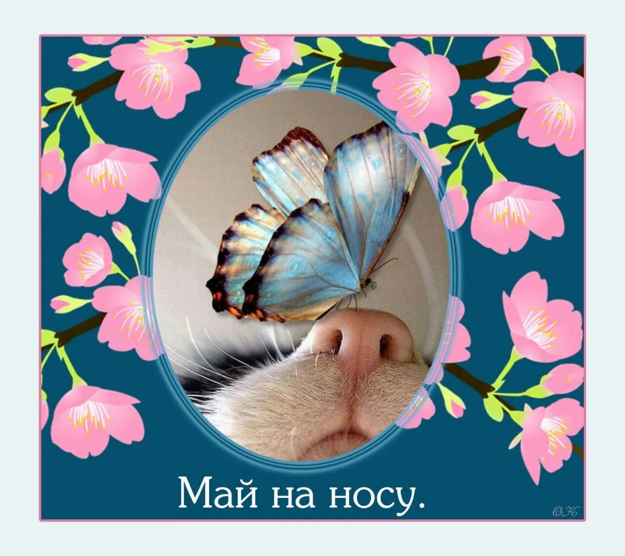 1 мая. май картинки с текстом. до свидания апрель здравствуй май. здравствуй май. ну здравствуй май.