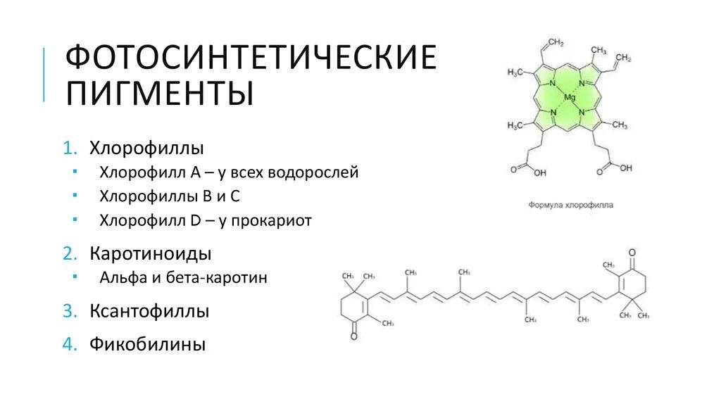 Строение пигментов. Фотосинтетические пигменты высших растений. Пигменты фотосинтеза хлорофилл каротиноиды. Фотосинтетическими пигментами высших растений не являются.