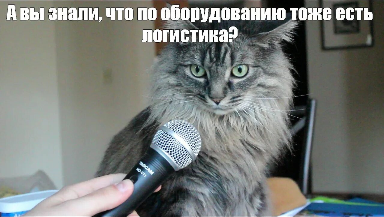 песня котятки. гречанинов котик заболел ноты. котик ноты. песня котятки. слова песни котенок и щенок.