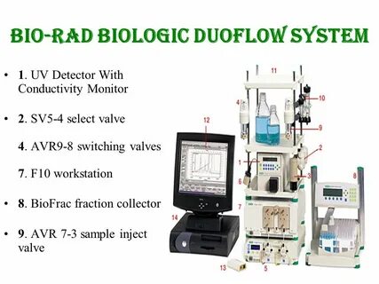 Bio system