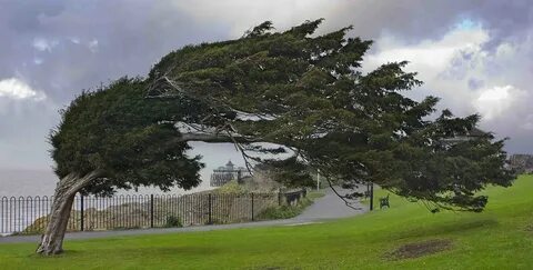 Wind and see